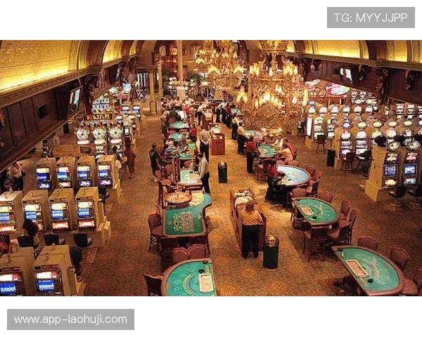 在国际赌场中常用的老虎机英文表达及其应用场景 在国际赌场中常用的老虎机英文表达及其应用场景